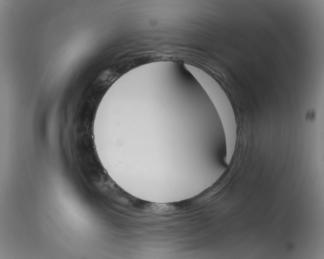 X0000114590429200911161335