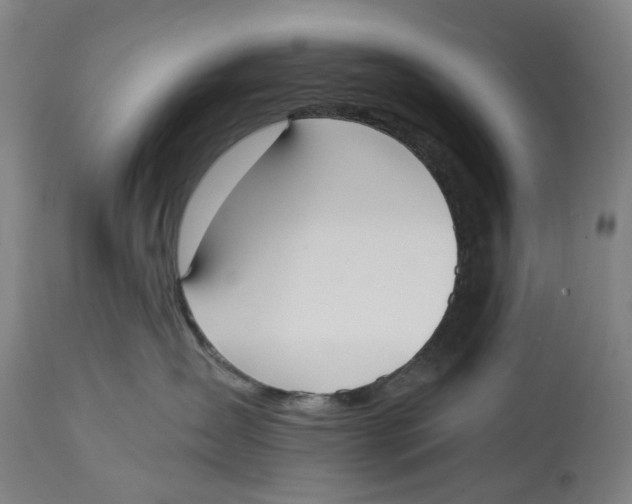 X0000114590431200911161335