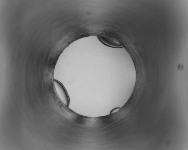 X0000114590432200911161335