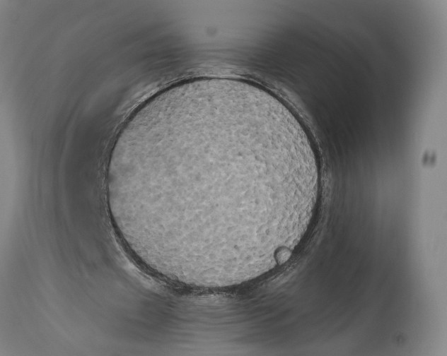 X0000114590433200911161335