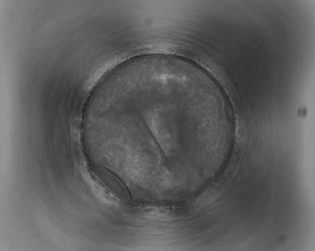 X0000114590434200911161335