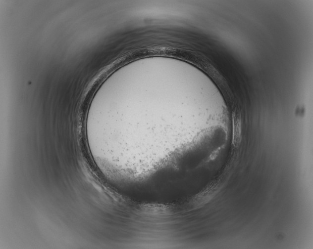 X0000114590435200911161335