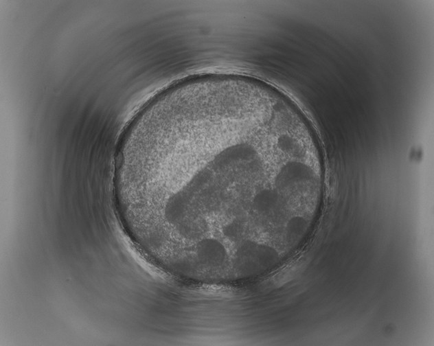 X0000114590437200911161335