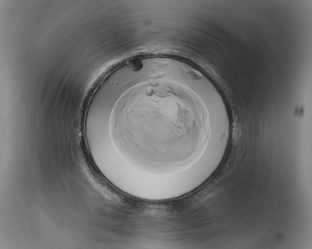 X0000114590438200911161335