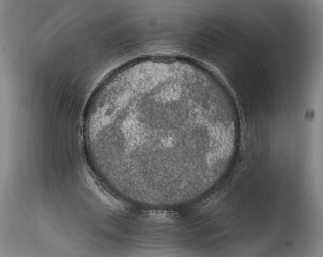 X0000114590439200911161335