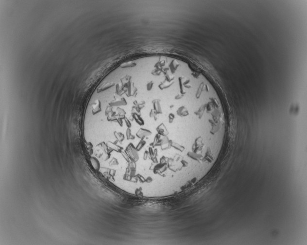 X0000114590441200911161335