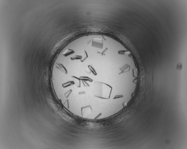 X0000114590442200911161335