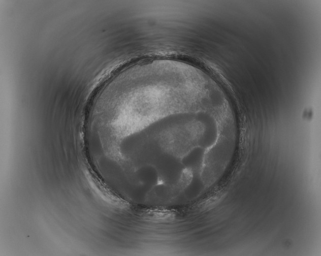 X0000114590443200911161335