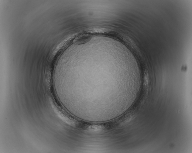 X0000114590444200911161335