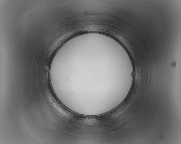 X0000114590445200911161335