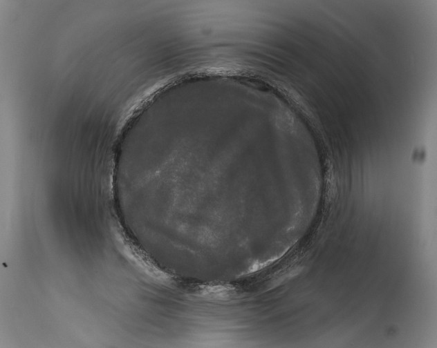 X0000114590446200911161335