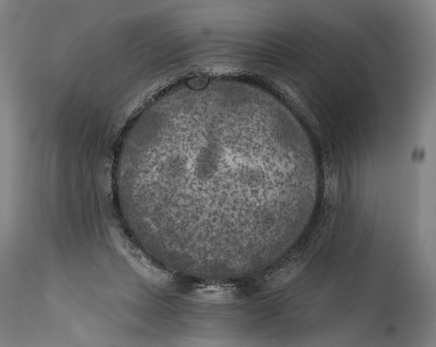 X0000114590447200911161335