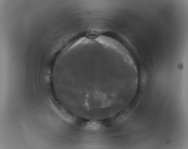 X0000114590451200911161335