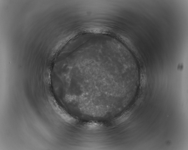 X0000114590453200911161335