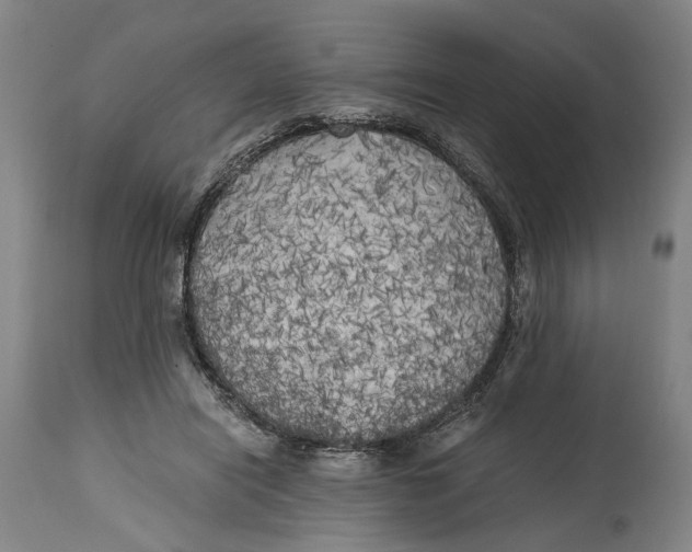 X0000114590454200911161335