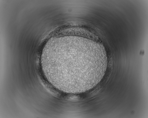 X0000114590456200911161335