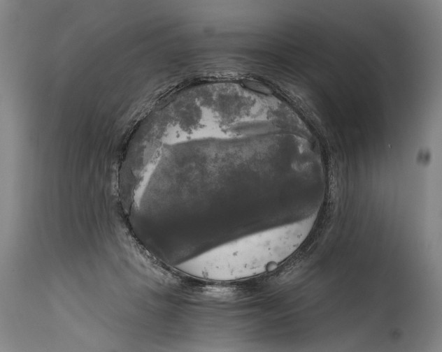 X0000114590457200911161335