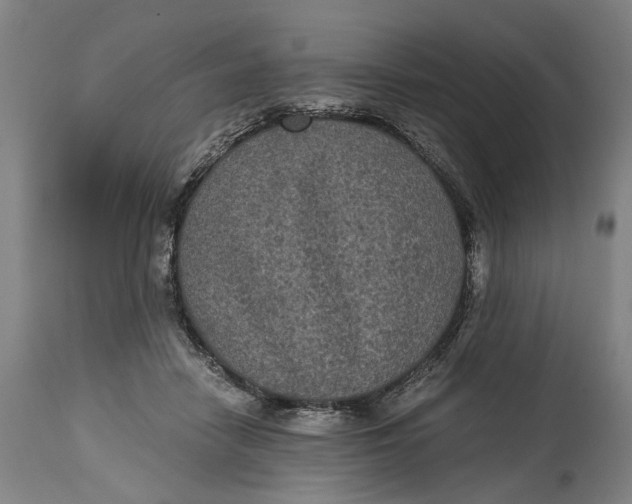 X0000114590458200911161335