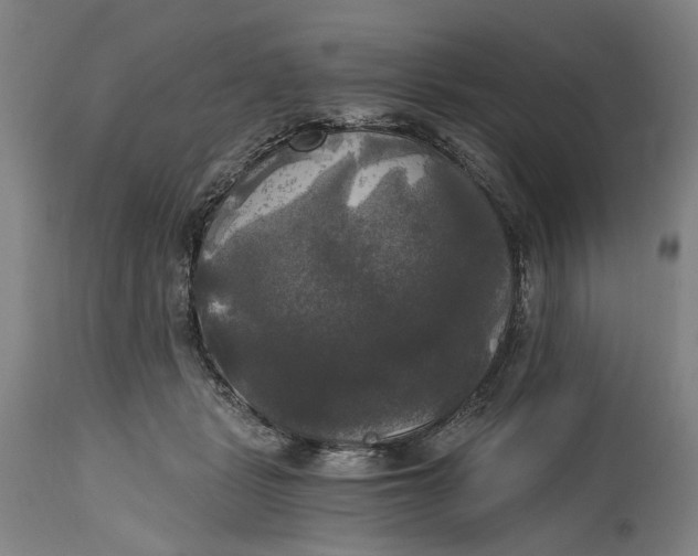 X0000114590461200911161335