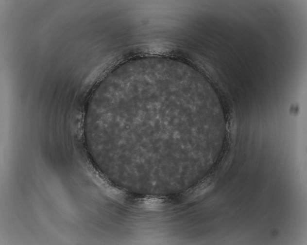 X0000114590462200911161335