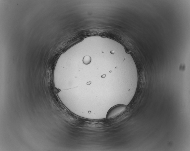 X0000114590463200911161335