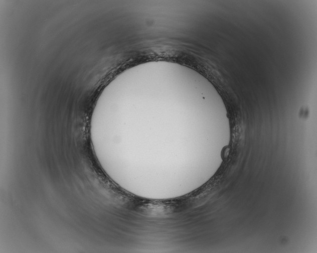 X0000114590464200911161335