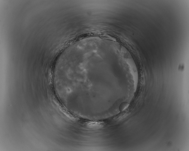 X0000114590465200911161335