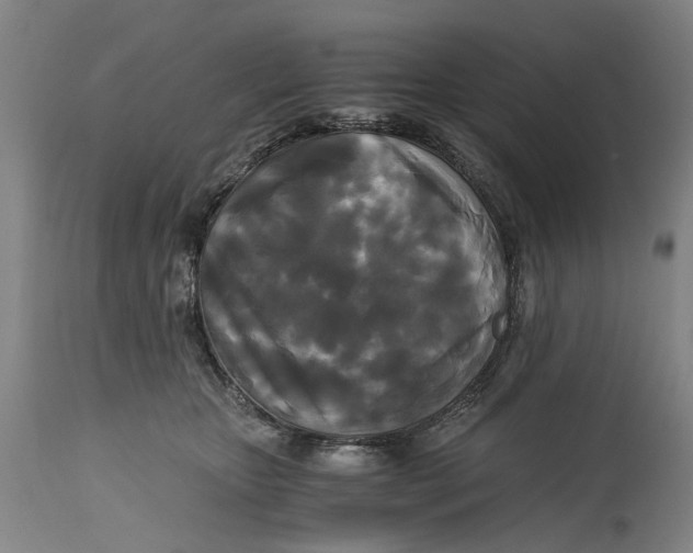 X0000114590467200911161335