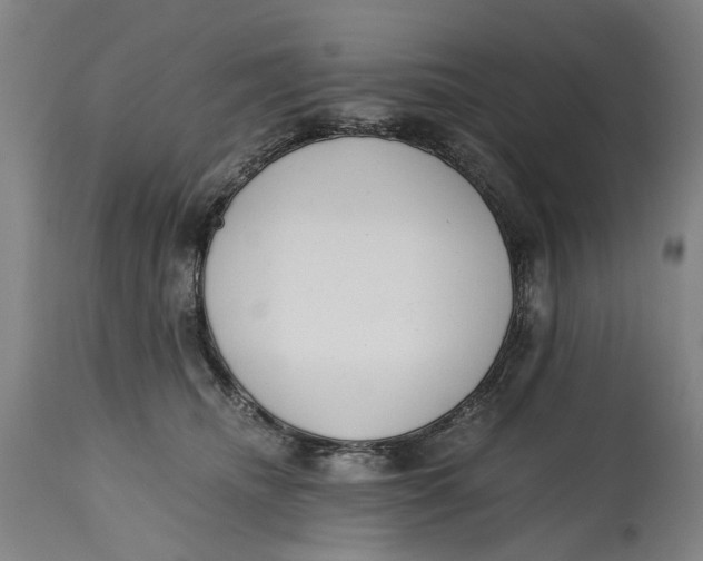 X0000114590468200911161335