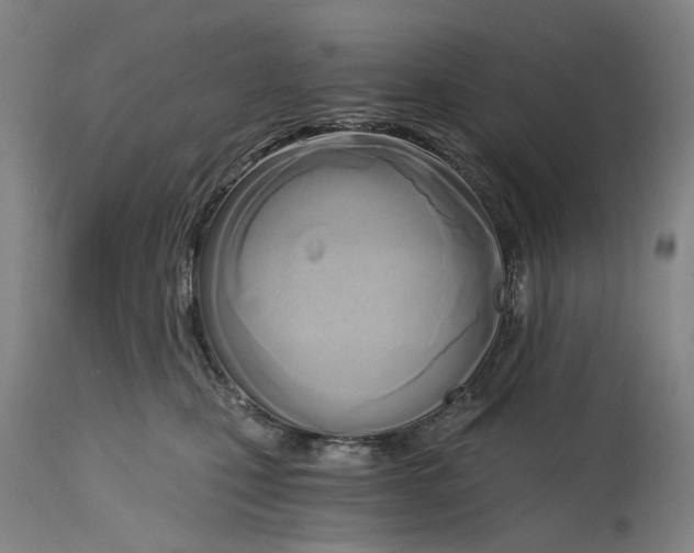 X0000114590471200911161335