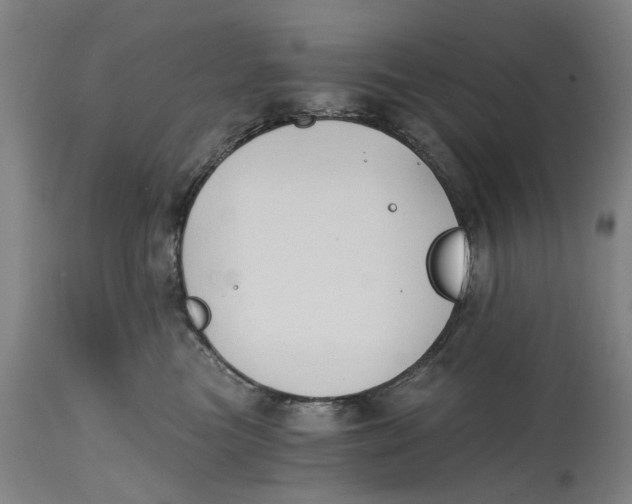 X0000114590473200911161335