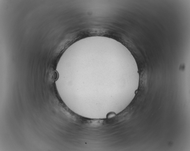 X0000114590474200911161335