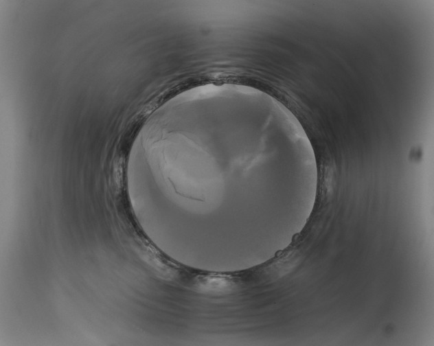 X0000114590475200911161335