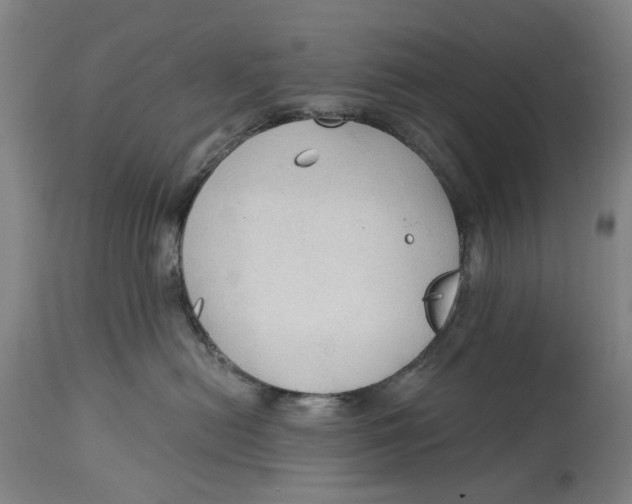 X0000114590478200911161335