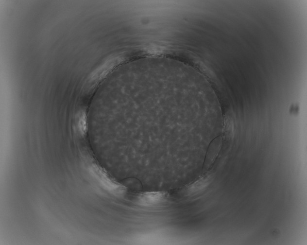 X0000114590479200911161335