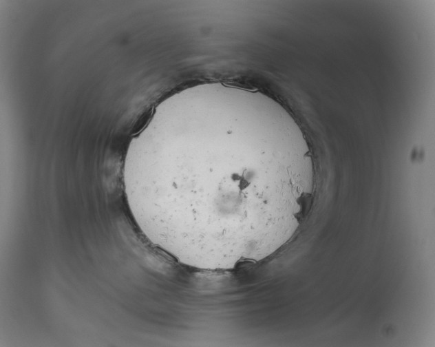 X0000114590480200911161335