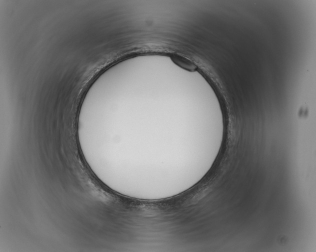 X0000114590481200911161335