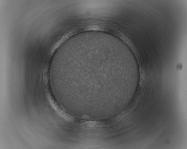 X0000114590482200911161335