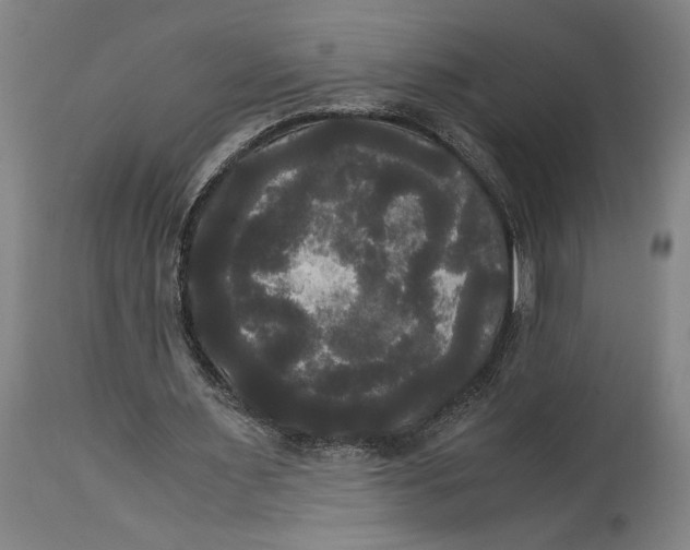 X0000114590483200911161335