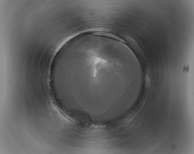 X0000114590484200911161335