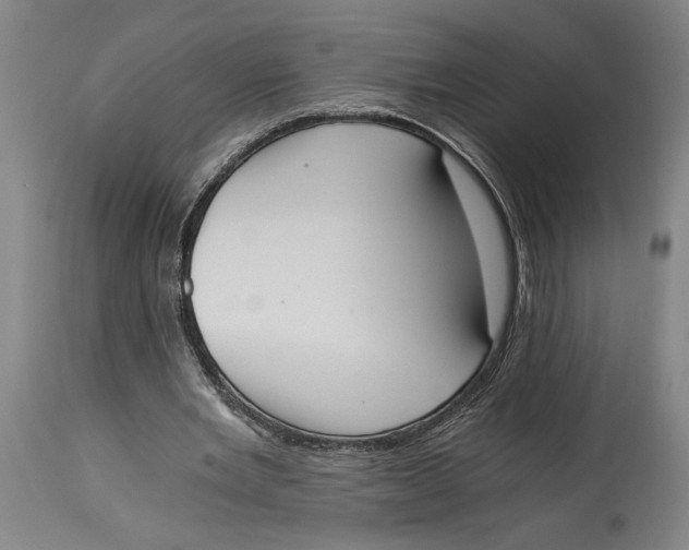 X0000114590485200911161335