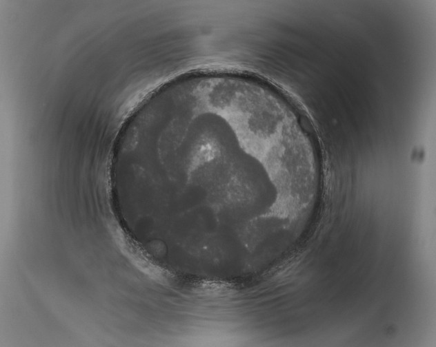 X0000114590487200911161335