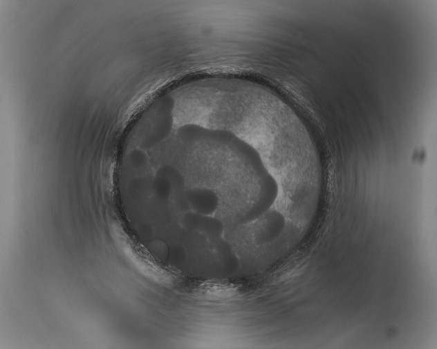 X0000114590491200911161335