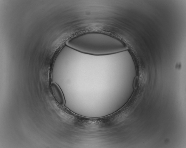 X0000114590493200911161335