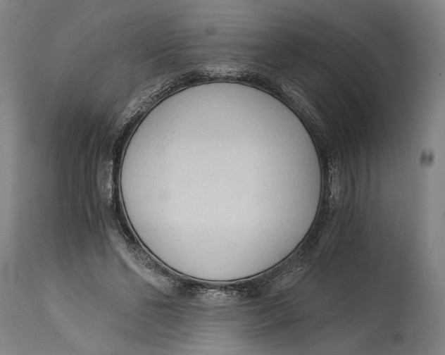 X0000114590494200911161335