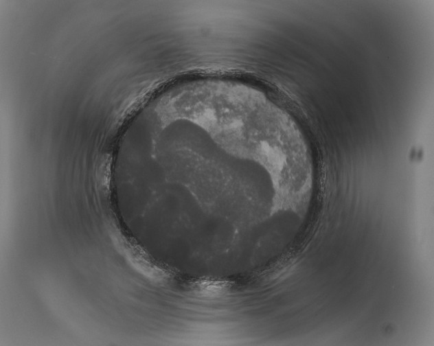 X0000114590495200911161335