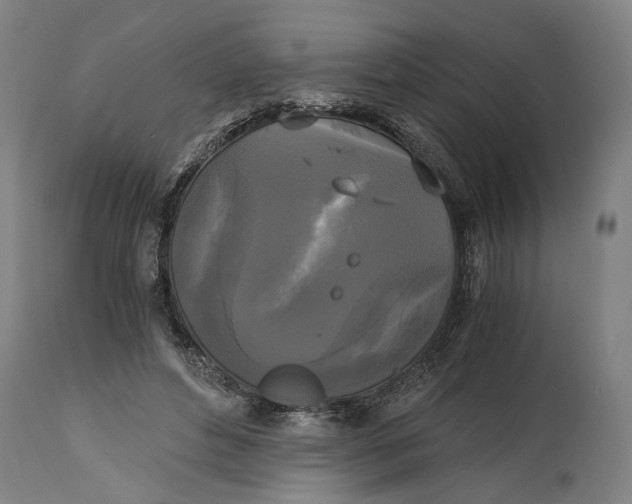 X0000114590496200911161335