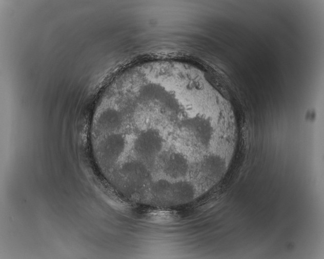 X0000114590499200911161334