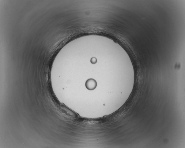 X0000114590501200911161334