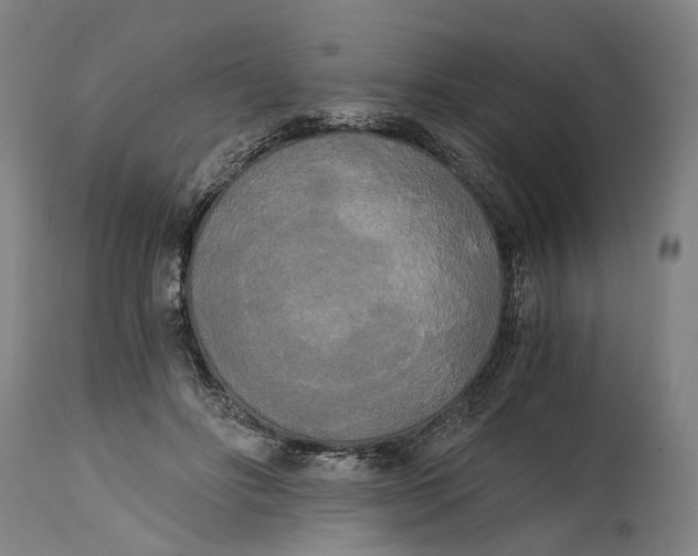 X0000114590502200911161334